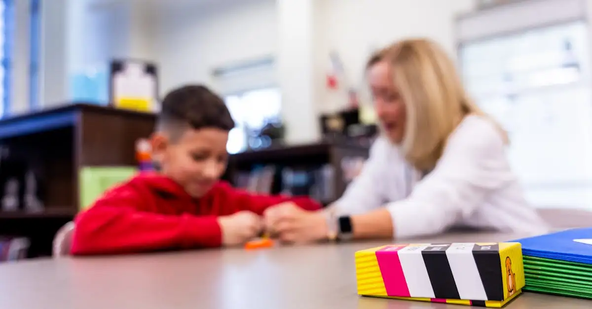 Ondersteuner onderwijs